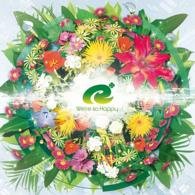 Cover for Ryu · We're So Happy (CD) [Japan Import edition] (2014)