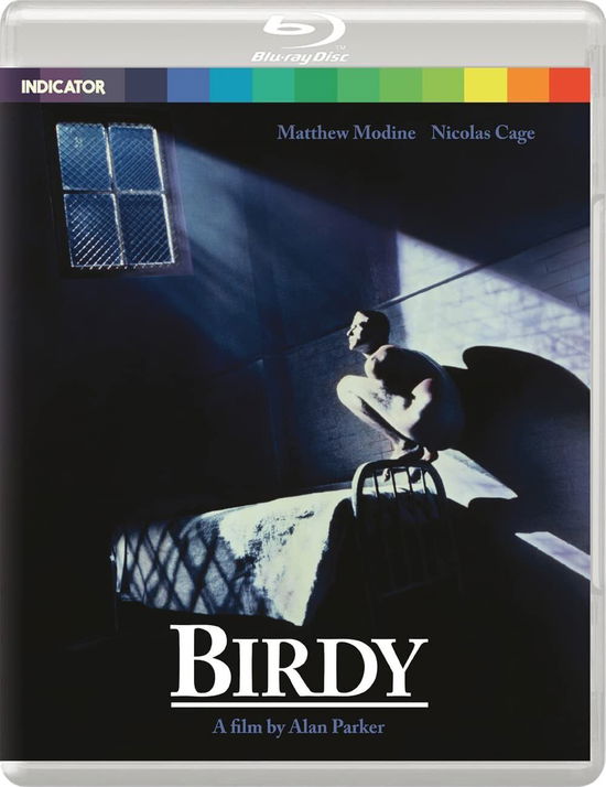 Cover for Birdy (Blu-Ray) (2023)