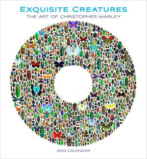 Exquisite Creatures the Art of Christoph - Standard Wall - Christopher Marley - Other - POMEGRANATE EUR CALENDARS 2023 - 9781087504315 - August 1, 2022