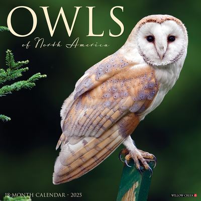 Willow Creek Press · Owls 2025 12 X 12 Wall Calendar (Calendar) (2024)