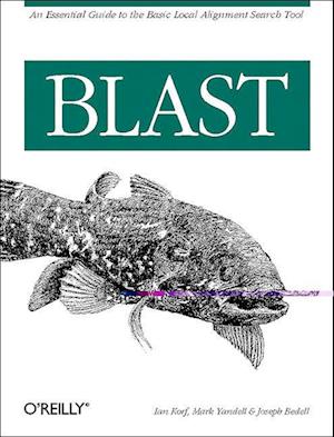 Cover for Ian Korf · Blast (N/A) (2003)