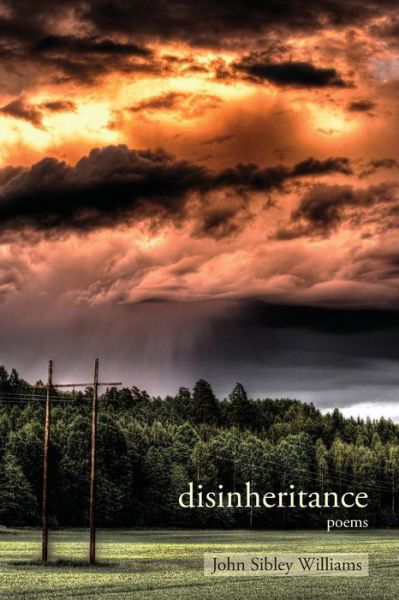Cover for John Sibley Williams · Disinheritance (Paperback Book) (2016)