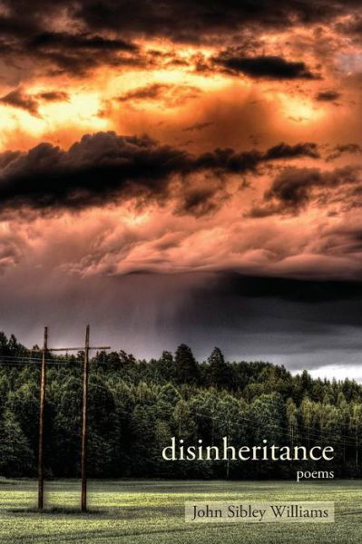 Disinheritance - John Sibley Williams - Books - Apprentice House - 9781627201315 - September 1, 2016