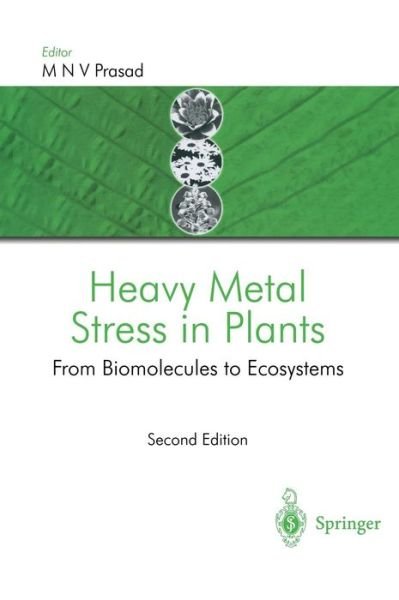 Cover for M N V Prasad · Heavy Metal Stress in Plants: from Biomolecules to Ecosystems (Hardcover Book) [2nd Ed. 2004 edition] (2004)