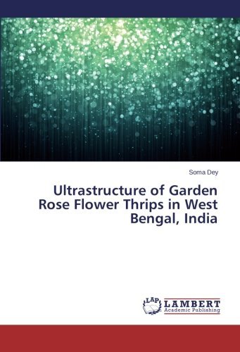Cover for Soma Dey · Ultrastructure of Garden Rose Flower Thrips in West Bengal, India (Taschenbuch) (2013)