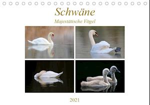 Cover for Bogner · Schwäne - Majestätische Vögel (T (Book)