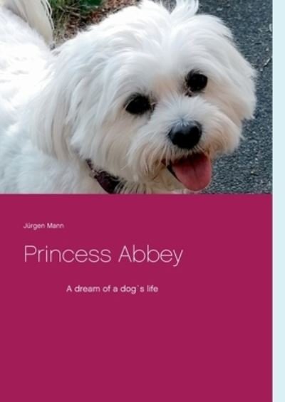 Cover for Mann · Princess Abbey (Buch) (2020)
