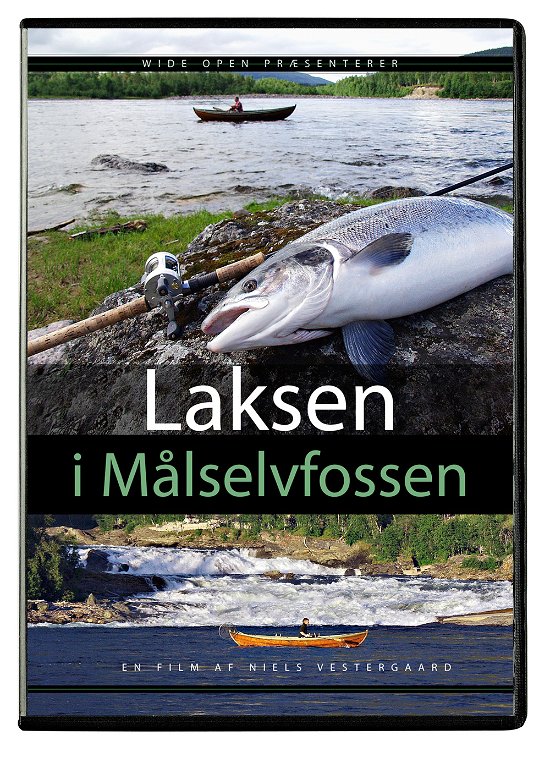 Cover for Niels Vestergaard · Laksen i Målselvfossen (DVD) [1e uitgave] (2005)