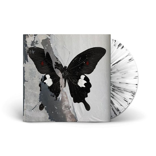 Death Cult · Paradise Now (Crystal Clear W/ Black / White Splatter Vinyl) (LP) (2024)