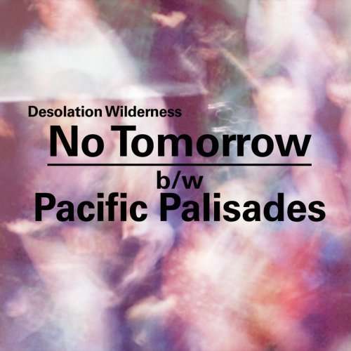 No Tomorrow / Pacific Palisades - Desolation Wilderness - Música - K RECORDS - 0789856212316 - 19 de maio de 2009