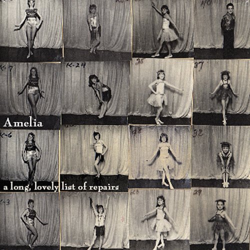 Cover for Amelia · Long Lovely List of Repairs (CD) (2012)