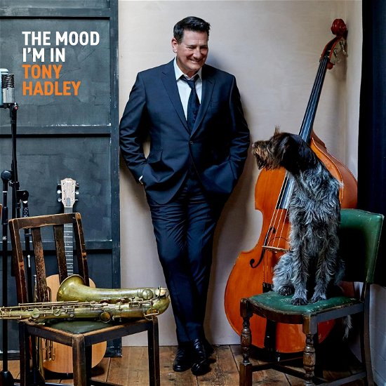 Cover for Tony Hadley · The Mood I'm In (LP) (2024)
