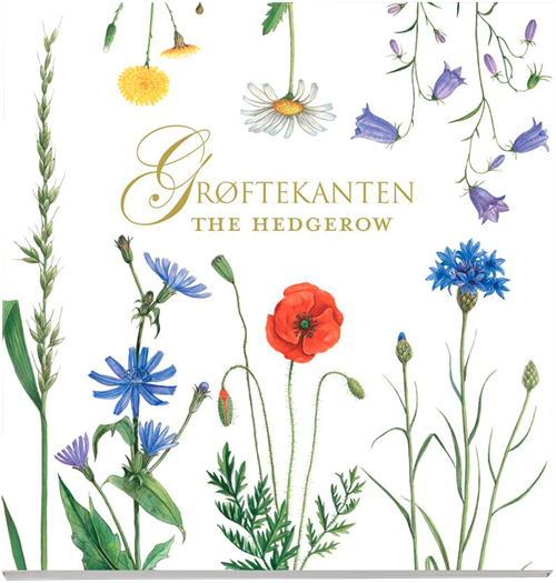 Cover for Ingen Forfatter; Ingen Forfatter; Ingen Forfatter · Grøftekanten kvadratisk kort (Stationery) [1. wydanie] (2020)