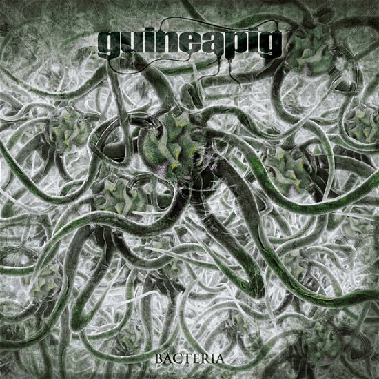 Cover for Guineapig · Bacteria (Coloured Vinyl) (LP) (2020)