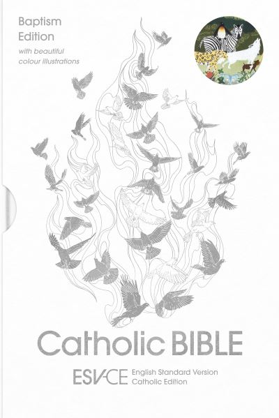 Cover for SPCK ESV-CE Bibles · ESV-CE Catholic Bible, Anglicized Baptism Edition: English Standard Version – Catholic Edition (Hardcover Book) [Esv-ce, English Standard Version-catholic edition] (2021)