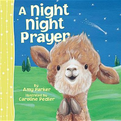 Cover for Amy Parker · A Night Night Prayer (Board book) (2014)