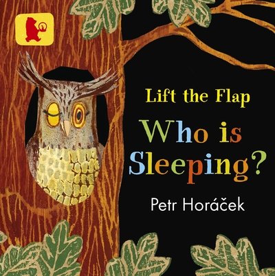 Cover for Petr Horacek · Who Is Sleeping? (Board book) (2018)