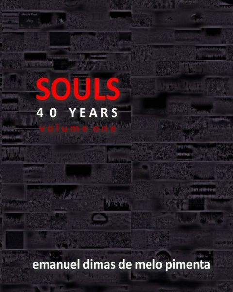 Cover for Emanuel Dimas De Melo Pimenta · Souls 40 Years: Volume 1 (Paperback Bog) (2013)