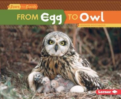 Cover for Jennifer Boothroyd · From Egg to Owl (Hardcover Book) (2016)