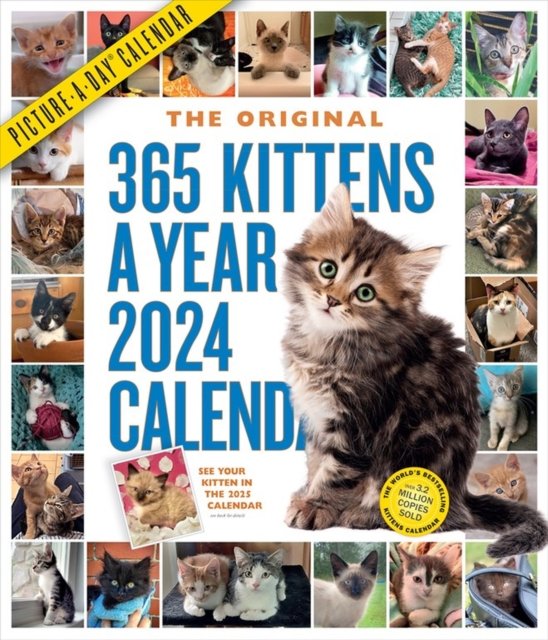 Cover for Workman Calendars · 365 Kittens-A-Year Picture-A-Day Wall Calendar 2024: Absolutely Spilling Over With Kittens (Calendar) (2023)
