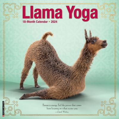 Cover for Willow Creek Press · Llama Yoga 2024 12 X 12 Wall Calendar (Kalender) (2023)