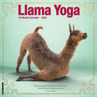 Llama Yoga 2024 12 X 12 Wall Calendar - Willow Creek Press - Gadżety - Willow Creek Press - 9781549234316 - 1 sierpnia 2023