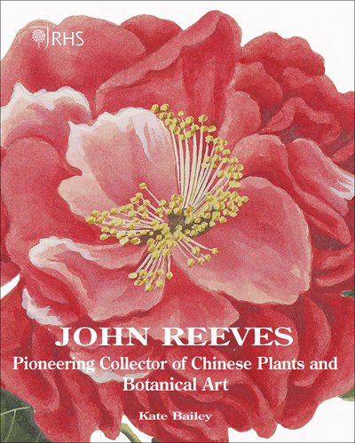 Cover for Kate Bailey · John Reeves: Pioneering Collector of Chinese Plants and Botanical Art (Hardcover Book) (2019)
