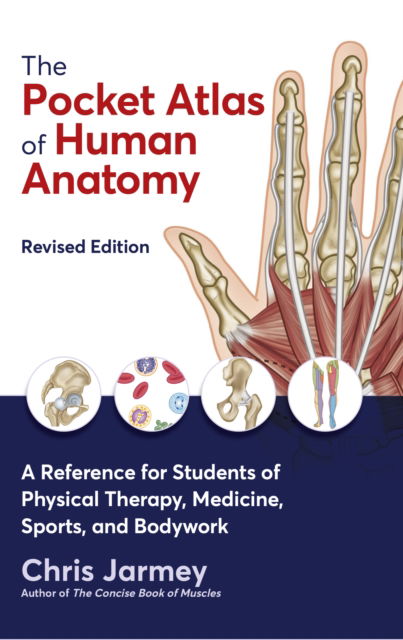 Cover for Chris Jarmey · The Pocket Atlas of Human Anatomy: A Reference for Students of Physical Therapy, Medicine, Sports, and Bodywork (Taschenbuch) [Revised edition] (2022)