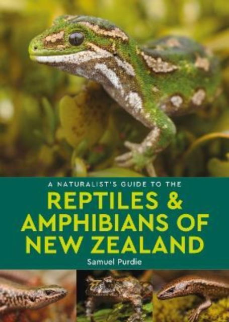 Cover for Samuel Purdie · A Naturalist's Guide to the Reptiles &amp; Amphibians Of New Zealand (Paperback Book) (2022)