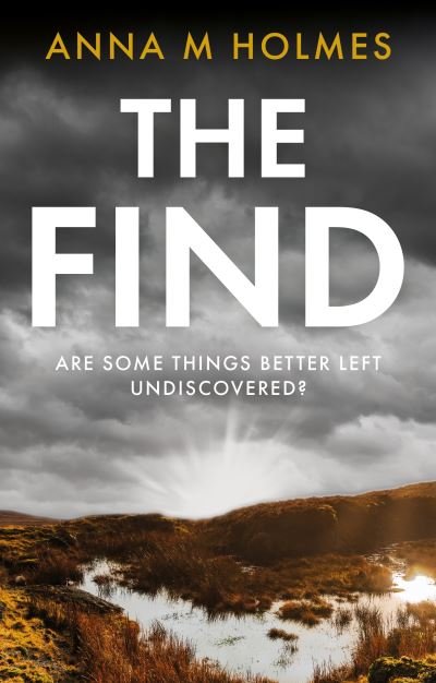 Cover for Anna M Holmes · The Find: Are some things better left undiscovered? (Paperback Book) (2022)