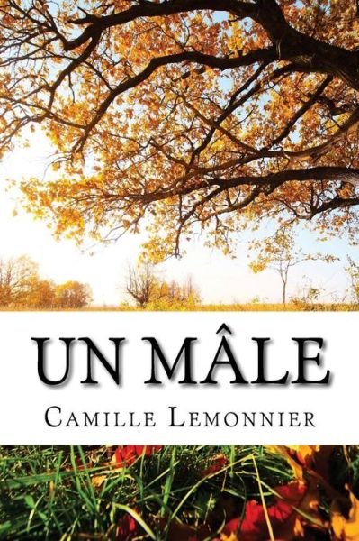 Cover for Camille Lemonnier · Un Male (Pocketbok) [French, 1 edition] (2013)