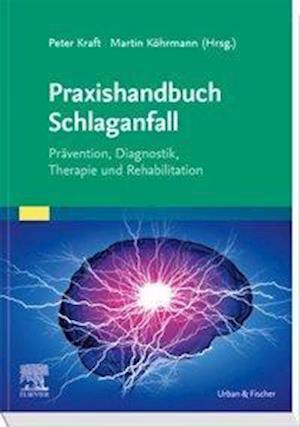 Cover for Kraft; Köhrmann, (hg) · Praxishandbuch Schlaganfall (Book)