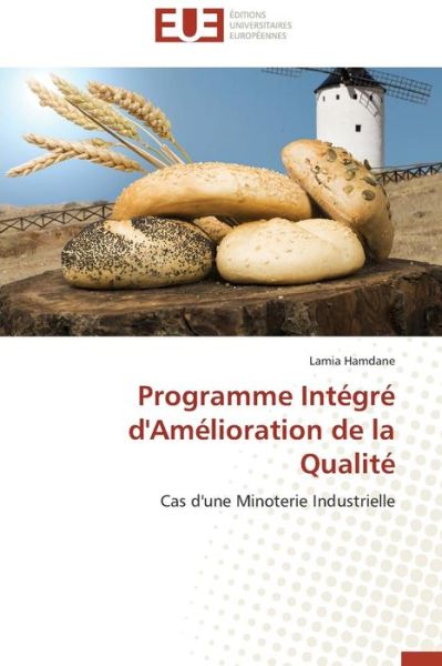Cover for Hamdane Lamia · Programme Integre D'amelioration De La Qualite (Paperback Book) (2018)