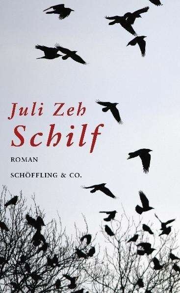 Cover for Juli Zeh · Schilf (Buch) (2007)