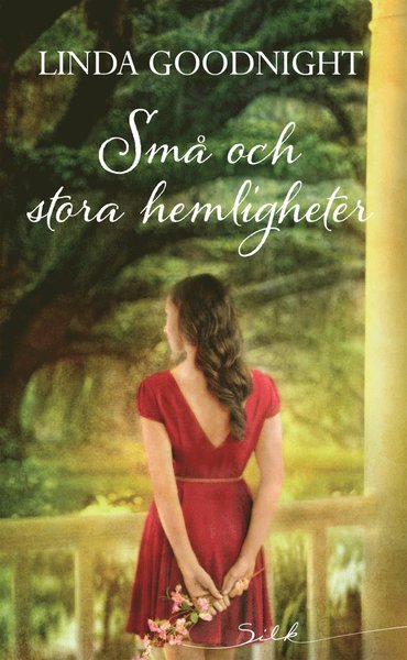 Cover for Linda Goodnight · Silk: Små och stora hemligheter (Book) (2019)