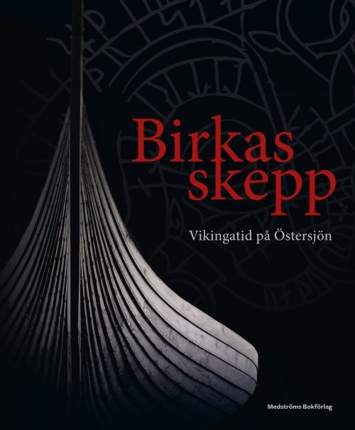 Birkas skepp - Hansson Jim - Libros - Medströms Bokförlag - 9789173291316 - 21 de noviembre de 2018