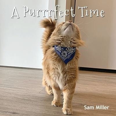 Cover for Sam Miller · A Purrrfect Time (Paperback Book) (2020)