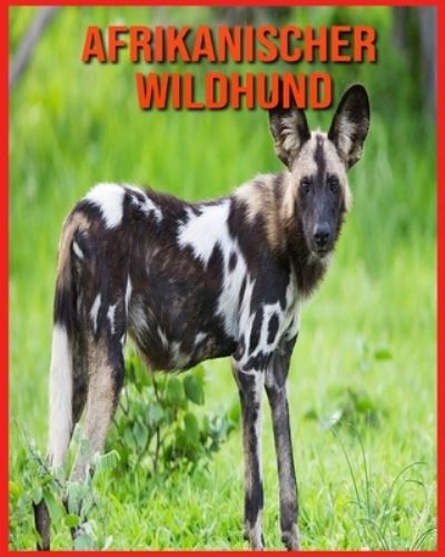 Cover for Annie Nichols · Afrikanischer Wildhund (Paperback Book) (2021)