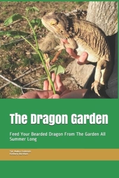 Cover for Yair Malino-Goldstein · The Dragon Garden (Pocketbok) (2021)
