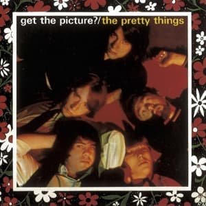 Cover for Pretty Things · Get The Picture? (LP) (2014)