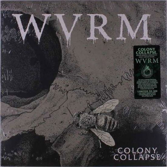 Cover for Wvrm · Colony Collapse by Wvrm (VINYL) (2020)