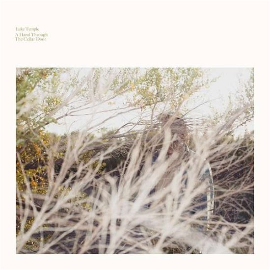 Cover for Luke Temple · A Hand Through The Cellar Door (LP) [Standard edition] (2016)