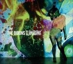 Cover for Bidons · Clamarama (CD) (2016)
