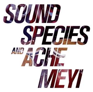 Cover for Soundspecies &amp; Ache Meyi (LP) (2017)