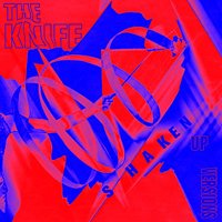 Cover for Vinyl · Knife-Shaken-Up Versions (LP) (2019)