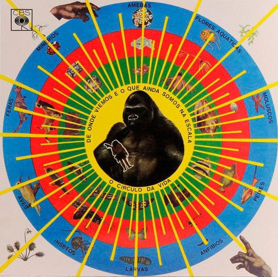 Krishnanda - Pedro Santos - Musique - MR.BONGO - 7119691245317 - 20 octobre 2016