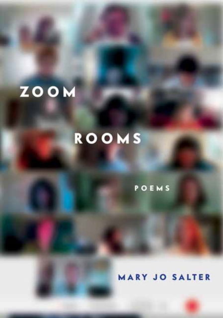 Cover for Mary Jo Salter · Zoom Rooms: Poems (Hardcover Book) (2022)