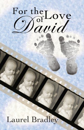 Cover for Laurel Bradley · For the Love of David (Paperback Book) (2013)