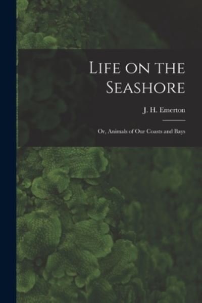 Cover for J H (James Henry) 1847-1930 Emerton · Life on the Seashore (Paperback Book) (2021)