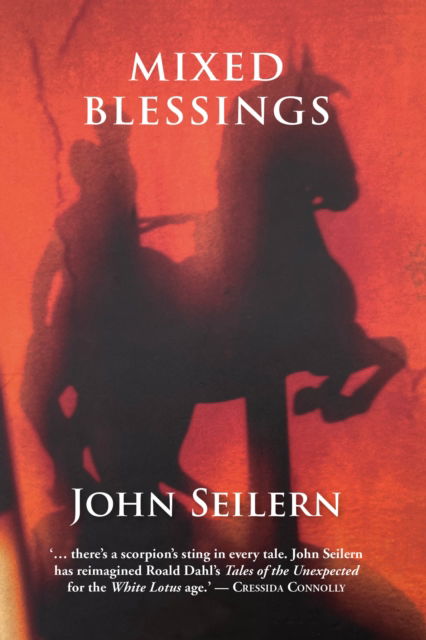 Cover for John Seilern · Mixed Blessings: Short Stories (Hardcover Book) (2025)
